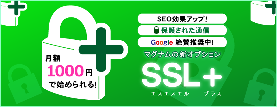 SSLオプション始めました